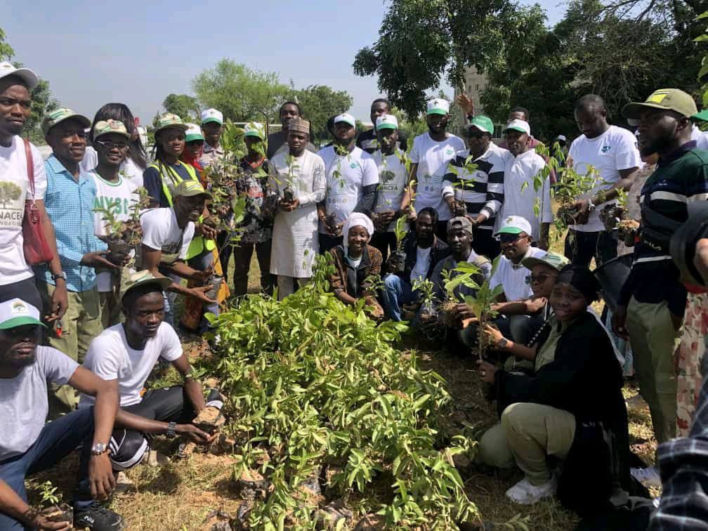 Tree planting